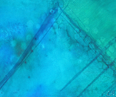 Geometrie